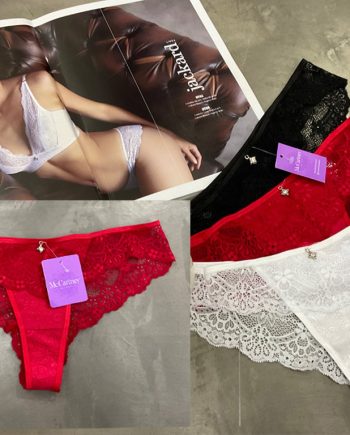 bombachas-con-puntillas-calidad-mc-cartney-premium-exclusivo-de-fabrica